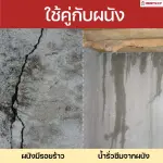 RUBYSHOP เครื่องยิงโฟม ยิงอิพ๊อกซี่ ขนาดเล็ก ยิง PU Foam Injection กันรั่วซึม ปิดรอยต่างๆรุ่น RB-WE02